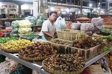 Geger Covid-19 Harga Jahe dan Temulawak Melonjak