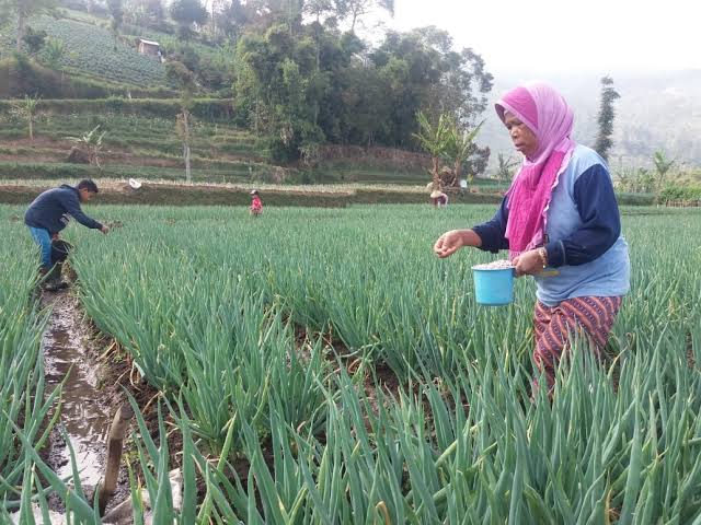 Majalengka ?Butuh Perda Pertanian