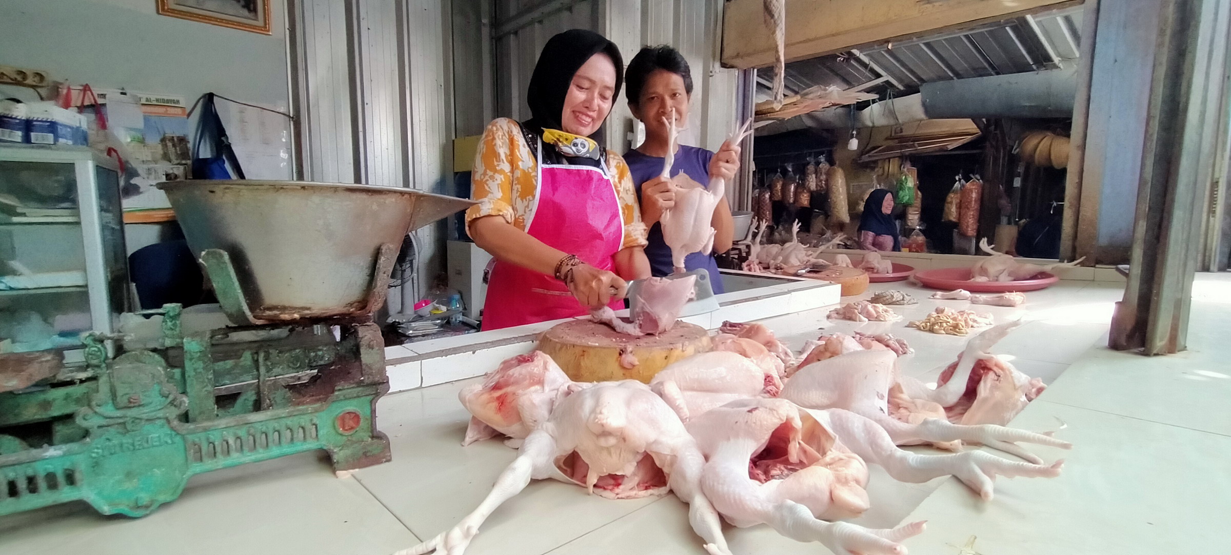 Awal Puasa, Harga Ayam Turun