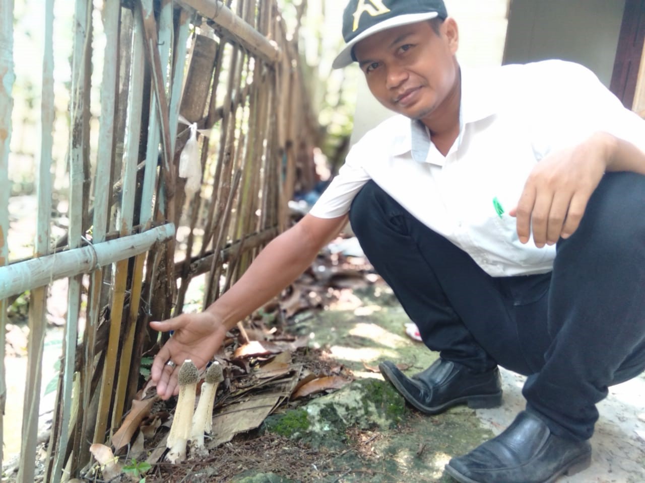 Jamur Unik Bikin Penasaran Warga