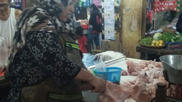 Harga Ayam Potong Turun, Stok Banyak, Pembeli Masih Sepi