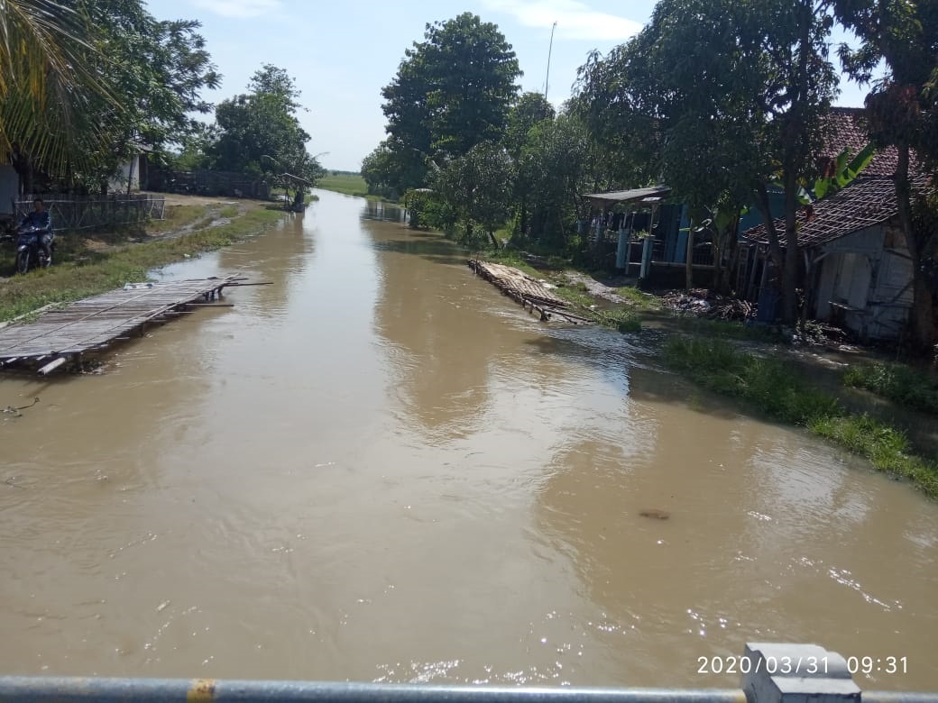 Banjir Rendam Sawah dan Permukiman