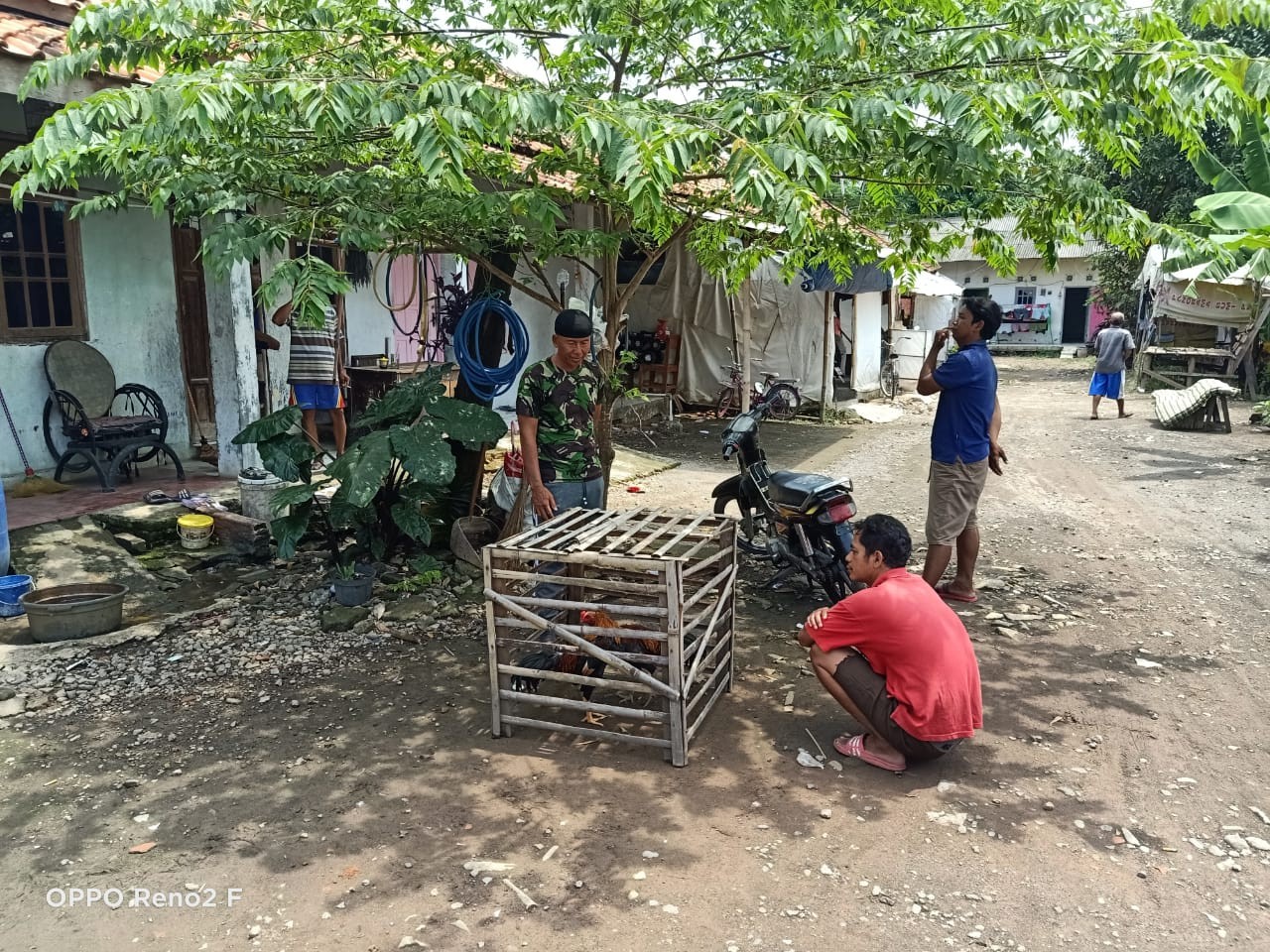 TNI Peringati Bos Sabung Ayam