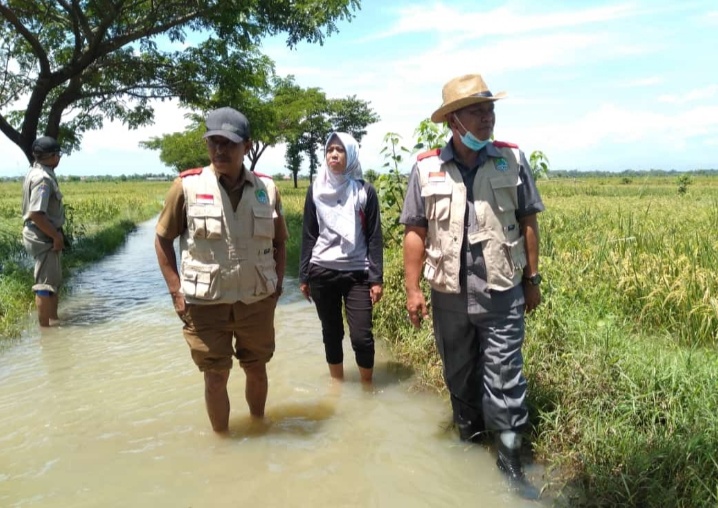 Empat Desa Terendam Banjir