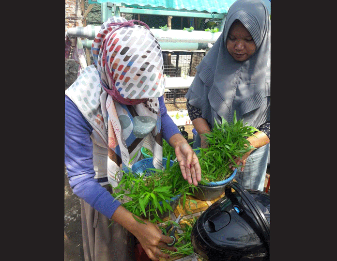 Manfaatkan Lahan Kosong Menjadi Produktif