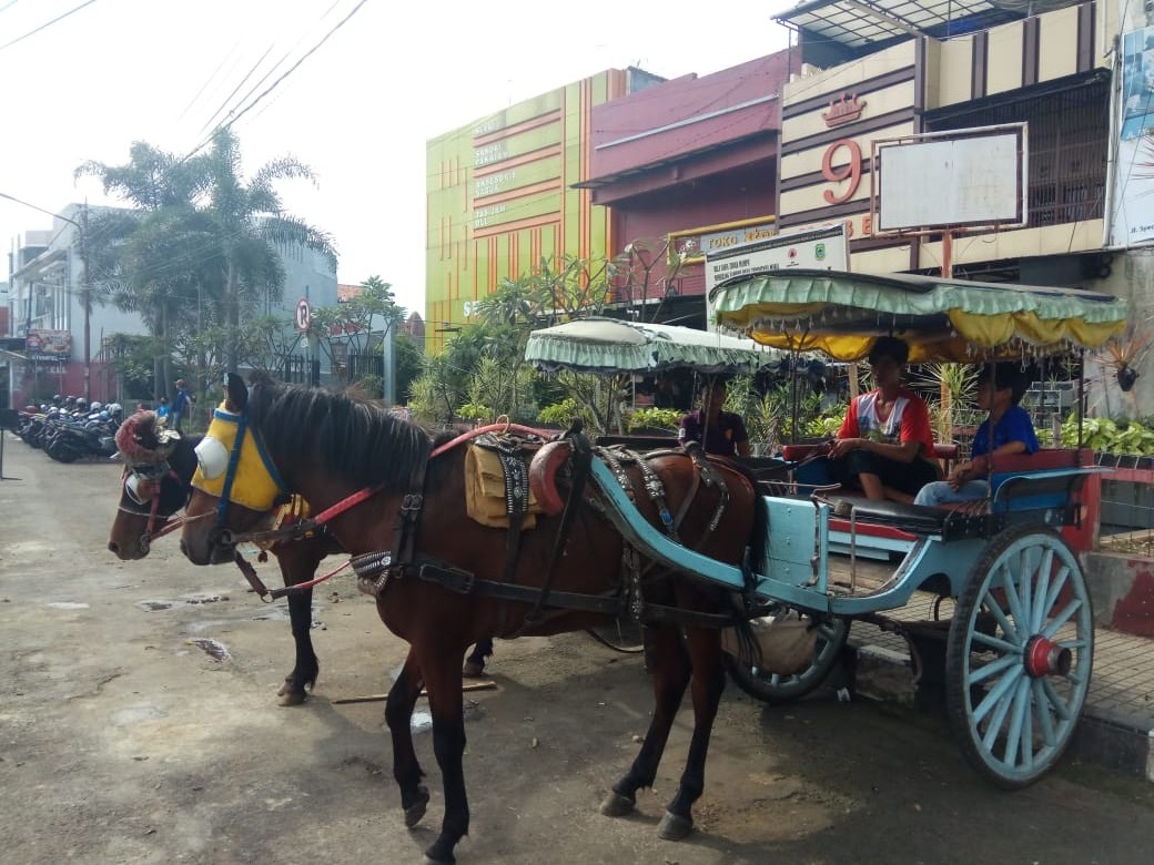 Terjepit PSBB dan Jam Malam, Pendapatan Kusir Delman Kian Menurun