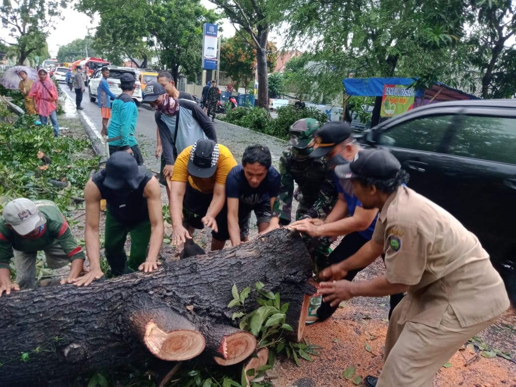 Pohon Tumbang, Arus Lalin Macet