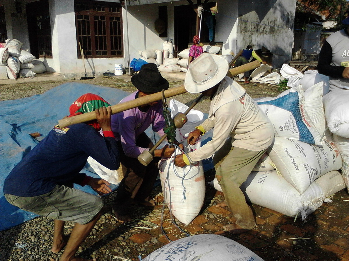 Antisipasi Wabah, Petani Pilih Simpan Gabah