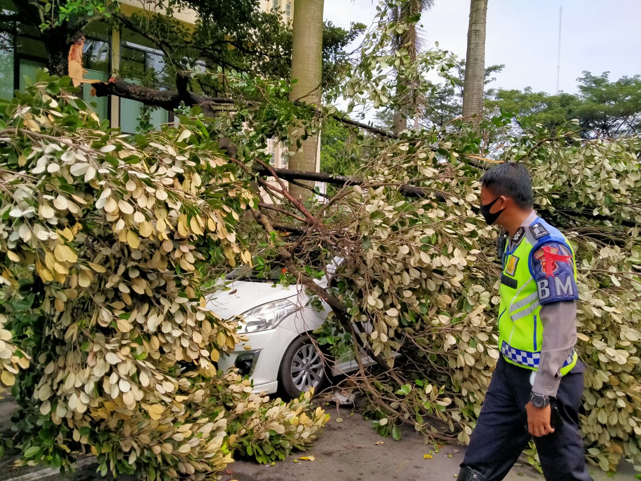 Dahan Pohon di Kantor Bupati Cirebon  Patah Timpa Mobil Kabag Humas