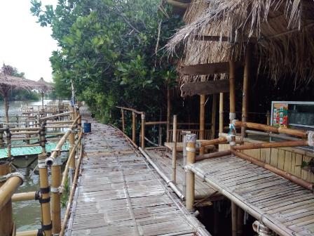 Wisata Mangrove Ambulu Tutup, Pengelola Rugi  Puluhan Juta