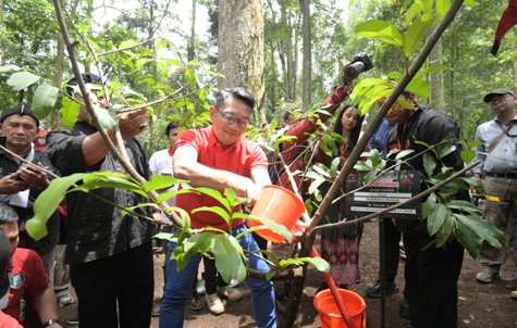 Kang Emil Ikut Menanam 220.020 Bibit Pohon di Gerakan Leuweung Padjadjaran