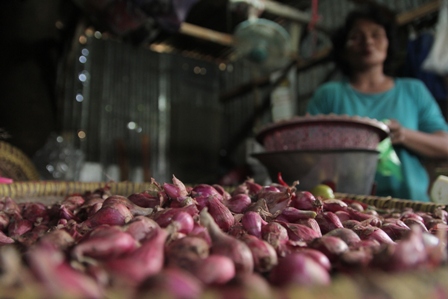 Stok Tipis, Bawang Merah Mahal