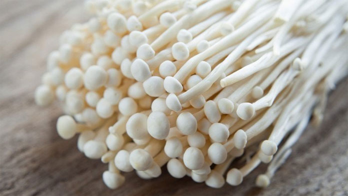 Jamur Enoki Asal Korea Selatan Mengandung Bakteri Berbahaya