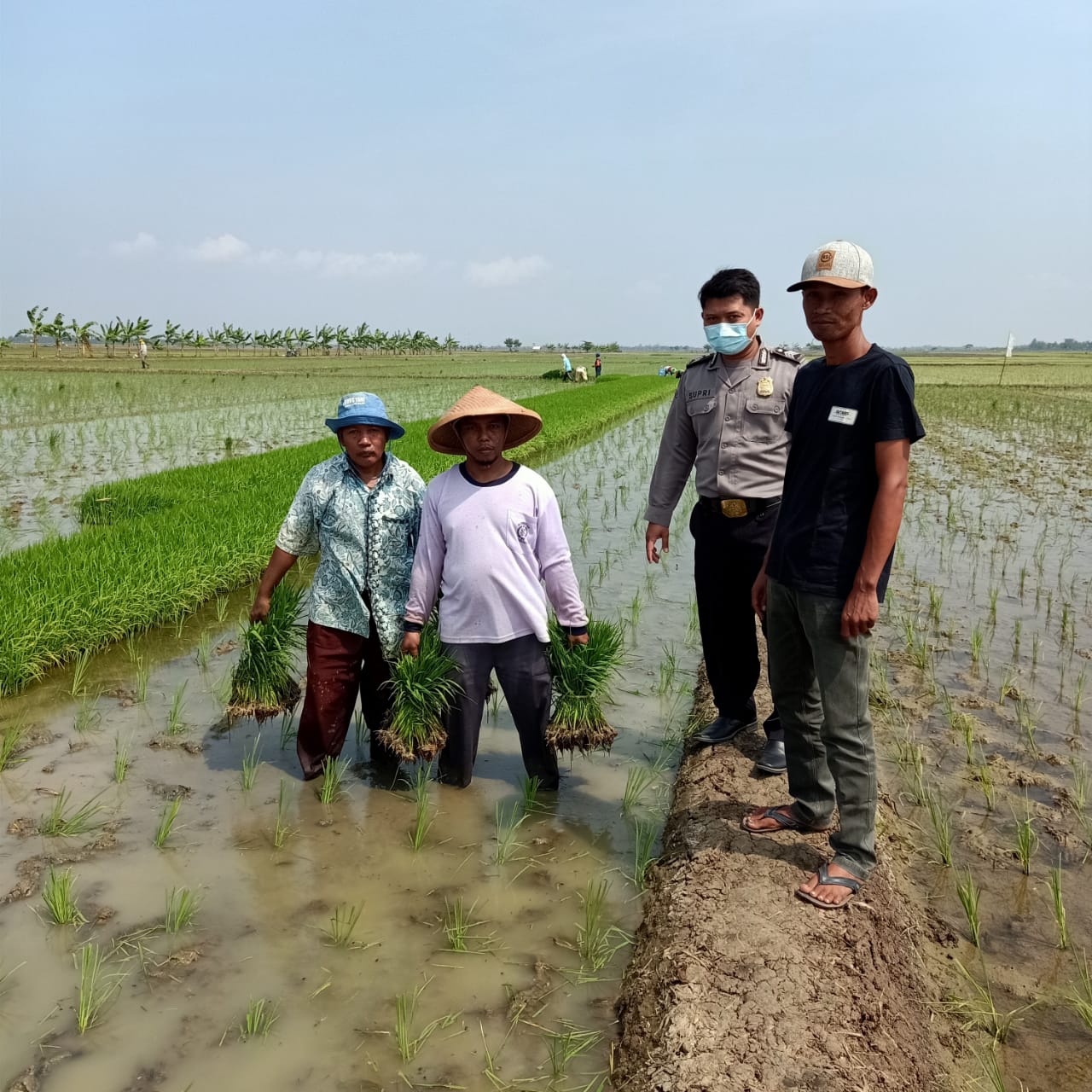 Hadapi Kemarau, Pemdes Bongas Siapkan Pompanisasi