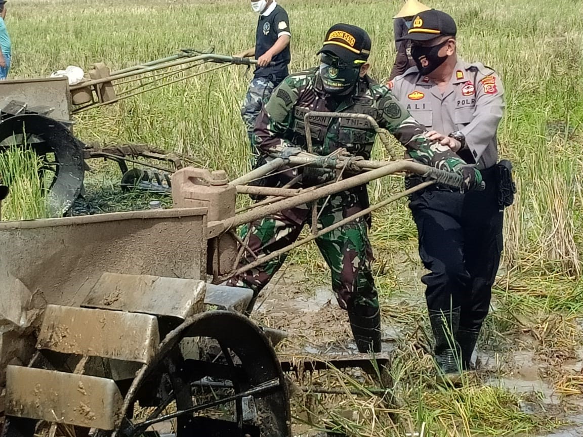 Dinas Pertanian Libatkan TNI-Polri dalam Gerakan Percepat Musim Tanam Gadu