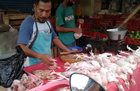 Harga Daging Ayam Masih Tinggi, Konsumen Anggap Harga Masih Wajar