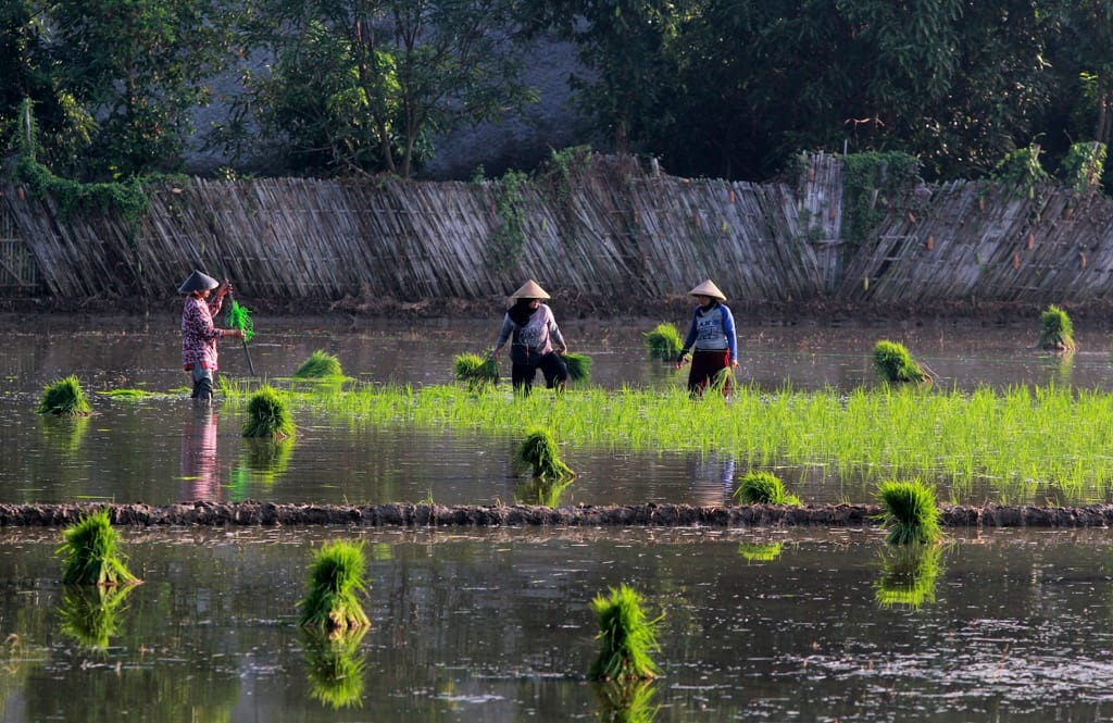 Stok Pupuk Kujang Jamin Ketersediaan Pupuk di Indramayu