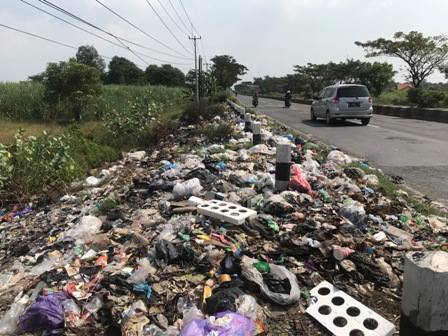 Bentuk Tim Khusus, Sisir TPS Liar