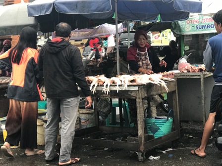 Harga Telur, Daging Ayam Masih Tinggi