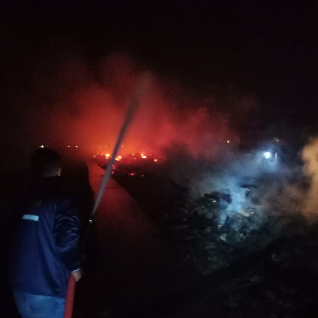 Kandang Kebakaran, 25 Ribu Ayam Hangus