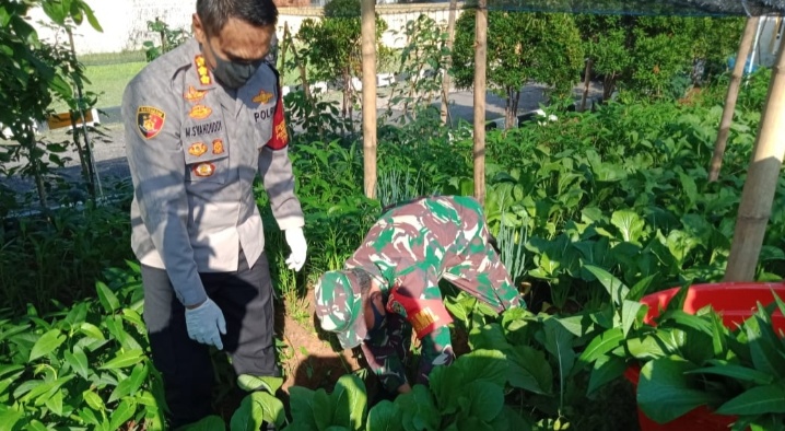 Kapolresta Cirebon Minta Lahan Mapolsek Produktif