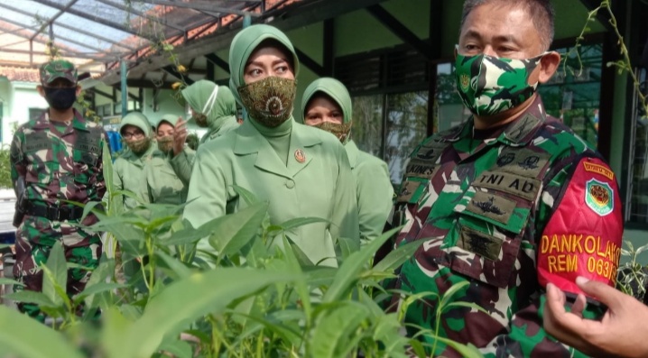 Kawal Program Ketahanan Pangan, Danrem 063/SGJ Tinjau Lahan Percontohan Kodim 0616 Indramayu