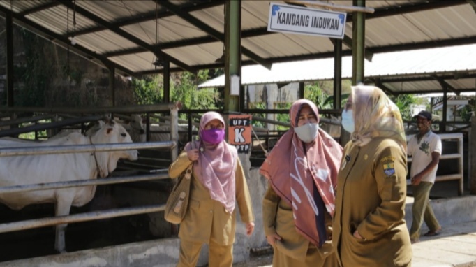 Pemkot Cirebon Dorong Pemanfaatan Lahan untuk Pertanian dan Peternakan