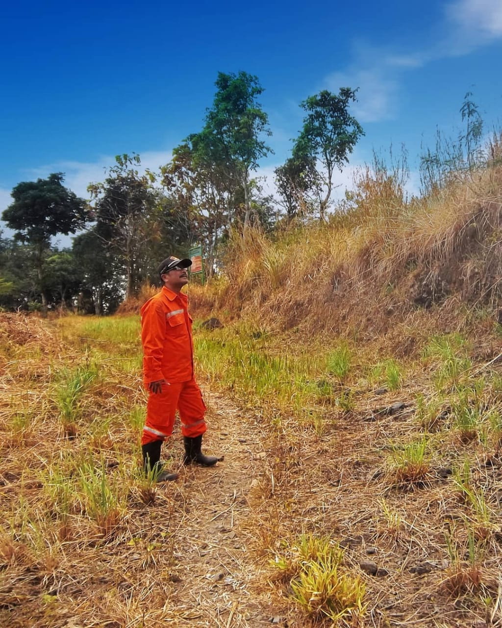 Kemarau, Waspada Potensi Kebakaran Hutan dan Lahan