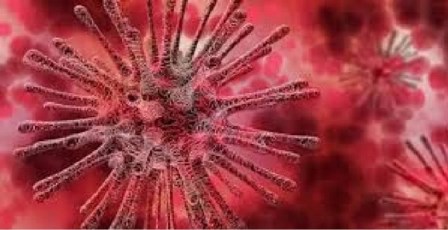 Potensi Penularan Virus Corona dari Orang Terdekat Sangat Tinggi