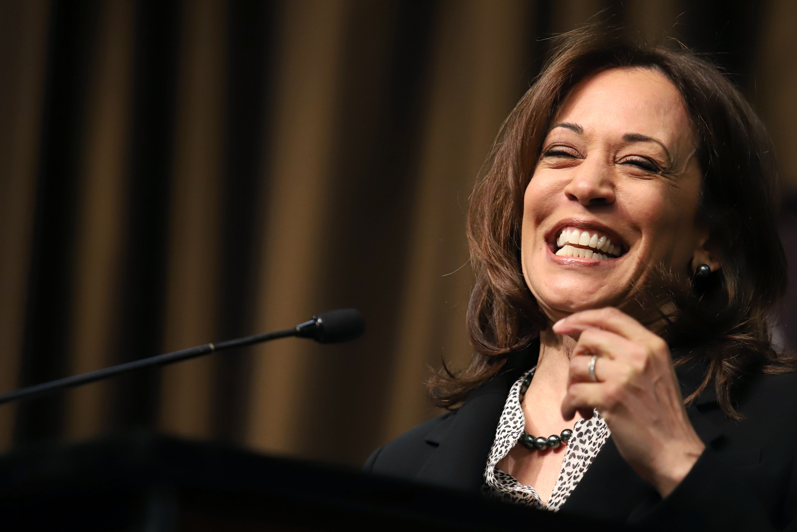 Kamala Harris Cawapres Joe Biden