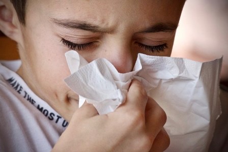 Madu-Jahe Atasi Flu dan Sakit Kepala