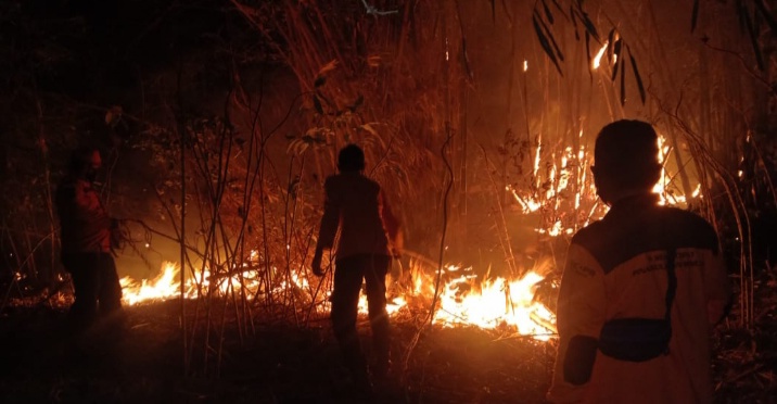 Lahan Bambu di Kaliwadas Terbakar, Api Cepat Menjalar karena Tiupan Angin