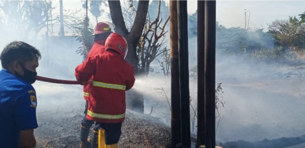 Kebakaran Lahan di Pangenan Nyaris Merembet Rumah dan Stokis Batu Bara