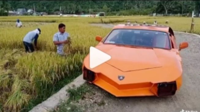 Lamborghini Ini Viral karena Parkir di Pinggir Sawah