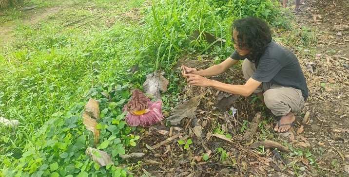 Warga Margarahayu Temukan Bunga Bangkai