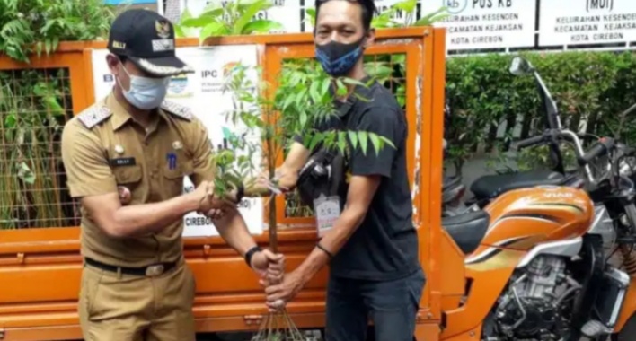 FPLHBN Cirebon Bantu 200 Bibit Pohon untuk Kelurahan Kesenden