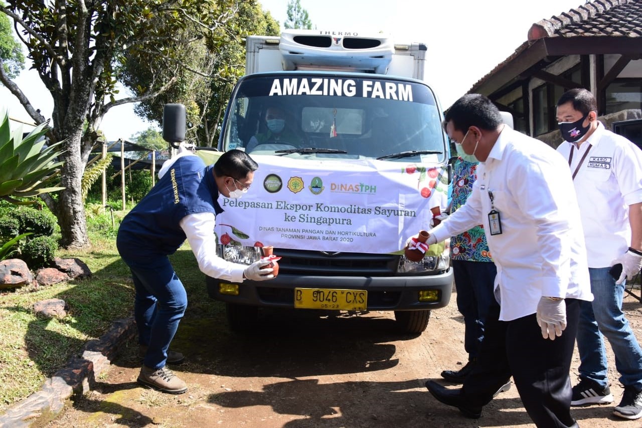 Ekspor Produk Hortikultura Menjanjikan