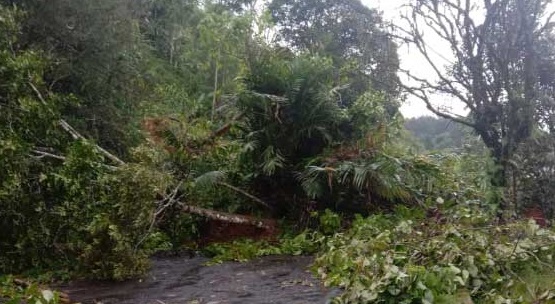 Hujan Deras, Longsor di 7 Titik Lokasi di Cianjur