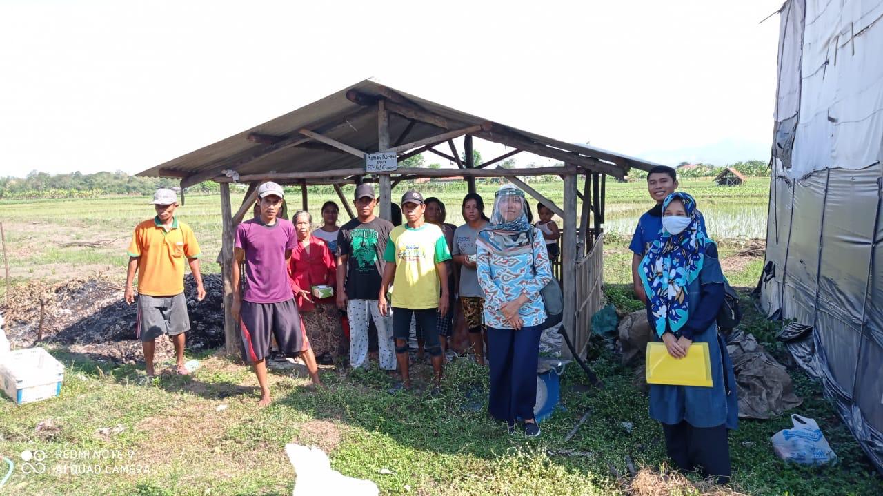 Ubah Limbah Kapas Produksi Jamur Merang Menjadi Pupuk Organik Kaya Nutrisi