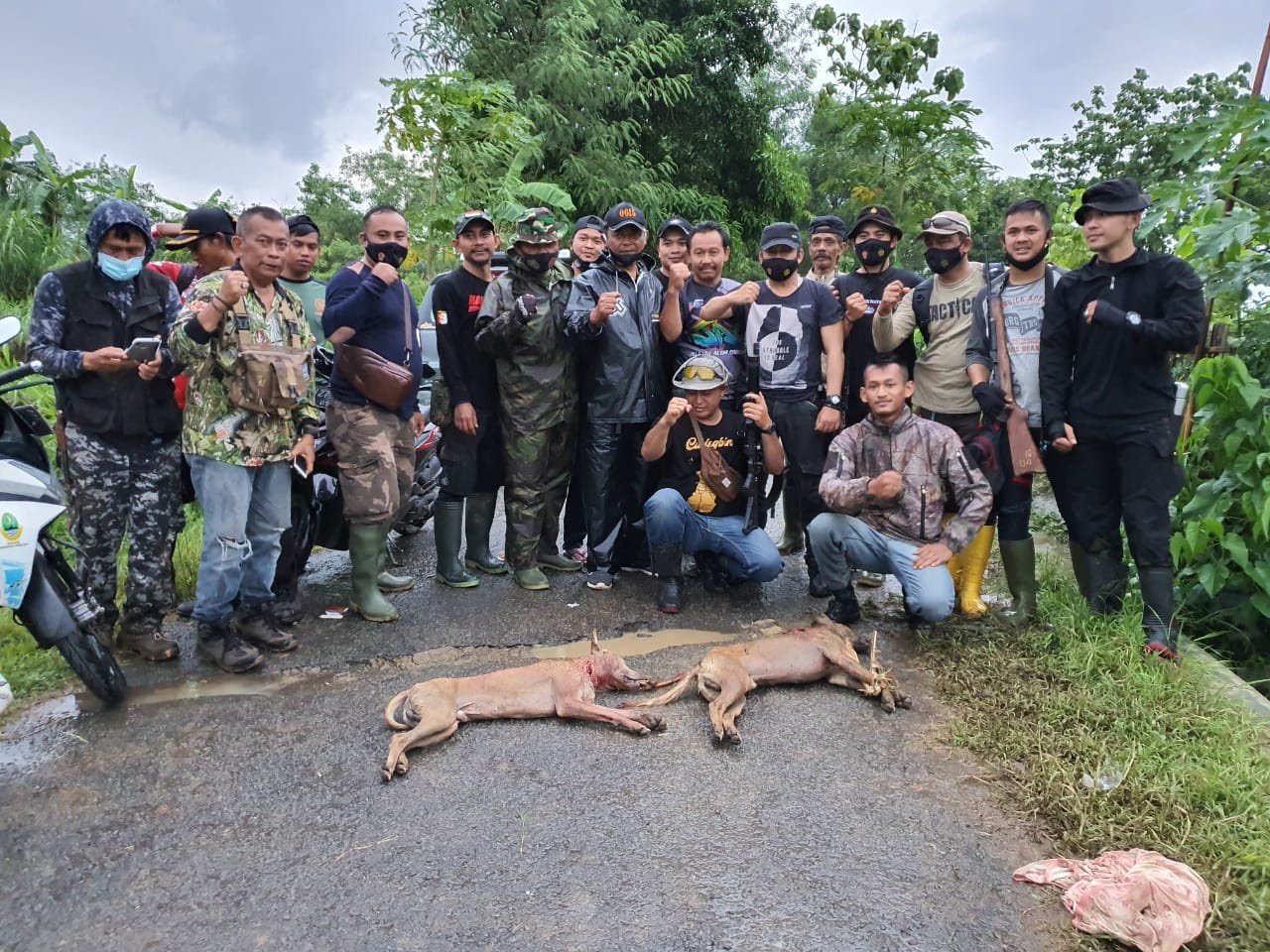 Buru Hewan Penghisap Darah, Warga Kembali Tembak Enam Anjing Liar