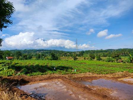 Gowes Cirebon Katon Kunjungi Desa Kamarang, Kecamatan Greged Ingin Jadi Desa Wisata Unggulan