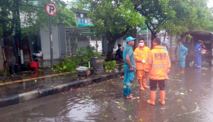 Jalan Cipto Sempat Terhalang Pohon Tumbang Akibat Hujan Angin Kencang
