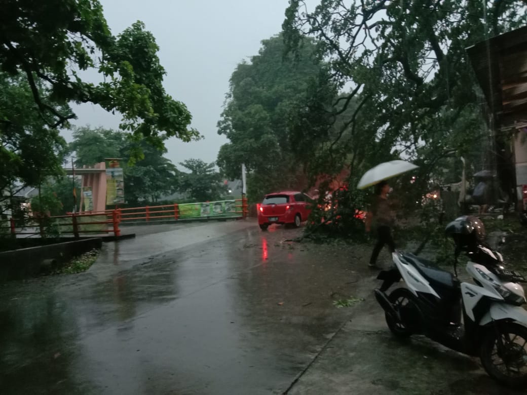Cirebon Hujan Deras, Warganet: Kecelakaan Truk vs Honda Brio di Depan Terminal, Pohon Tumbang Kalijaga hingga 