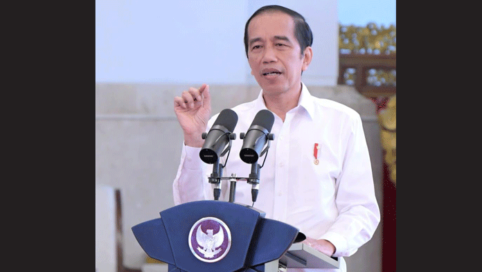 Jokowi Soroti Subsidi Pupuk
