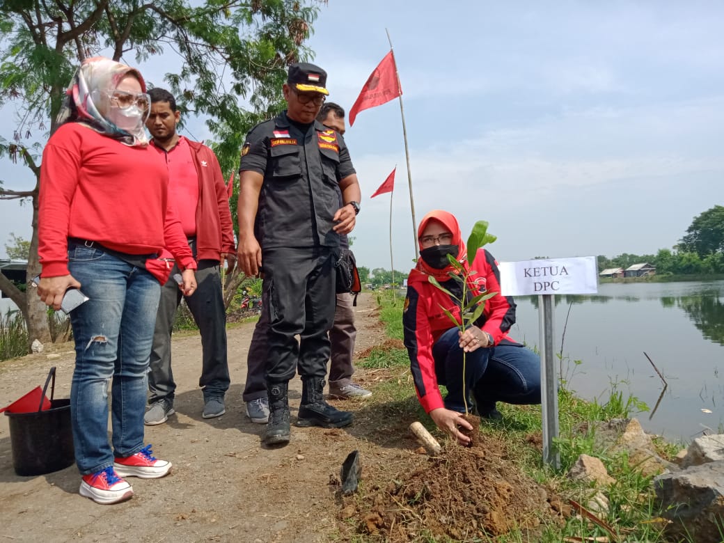 Berkomitmen Menjaga Alam, PDIP Kota Cirebon Tanam Ratusan Pohon