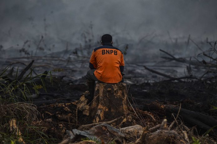 Penyebab Bencana, DPR Soroti Eksplorasi Hutan Kalimantan