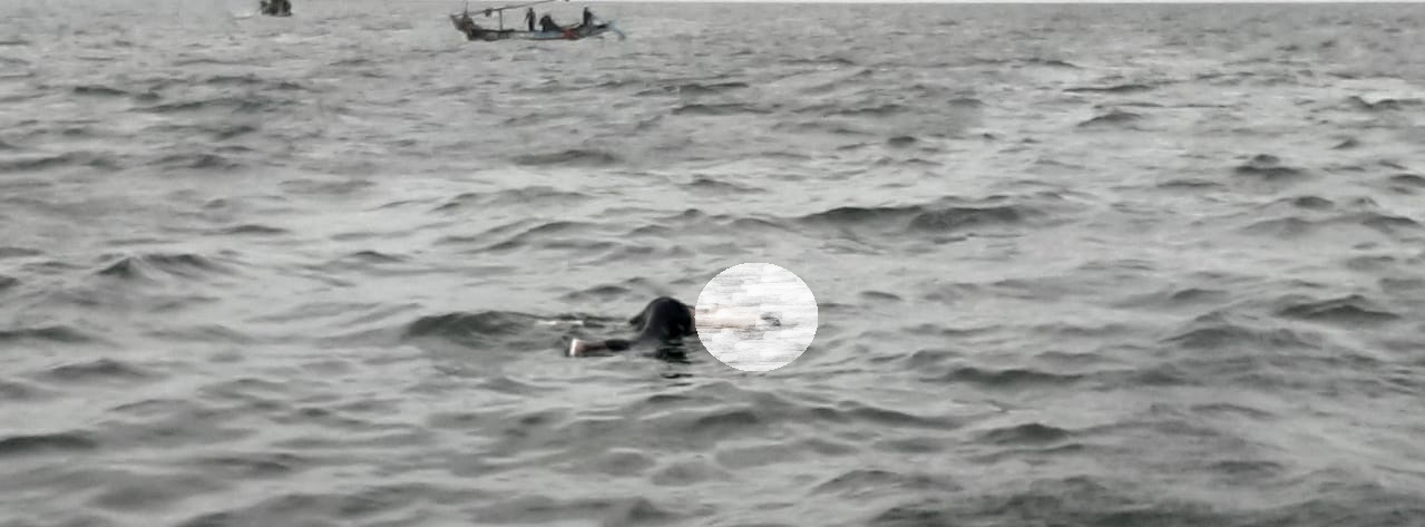 Aneh, Tiba-tiba Ditemukan Dua Sosok Mayat Mengapung di Laut Cirebon dan Patimban
