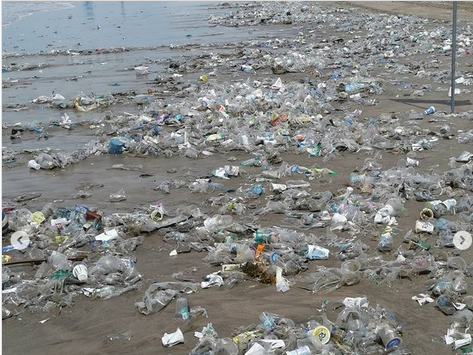 Tengok Nih, Sampah di Pantai Legian yang Bikin Dino Patti Djalal Kecewa Berat