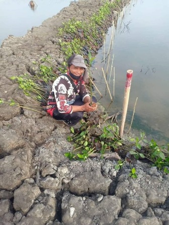 Cegah Abrasi, Tanam Seribu Mangrove