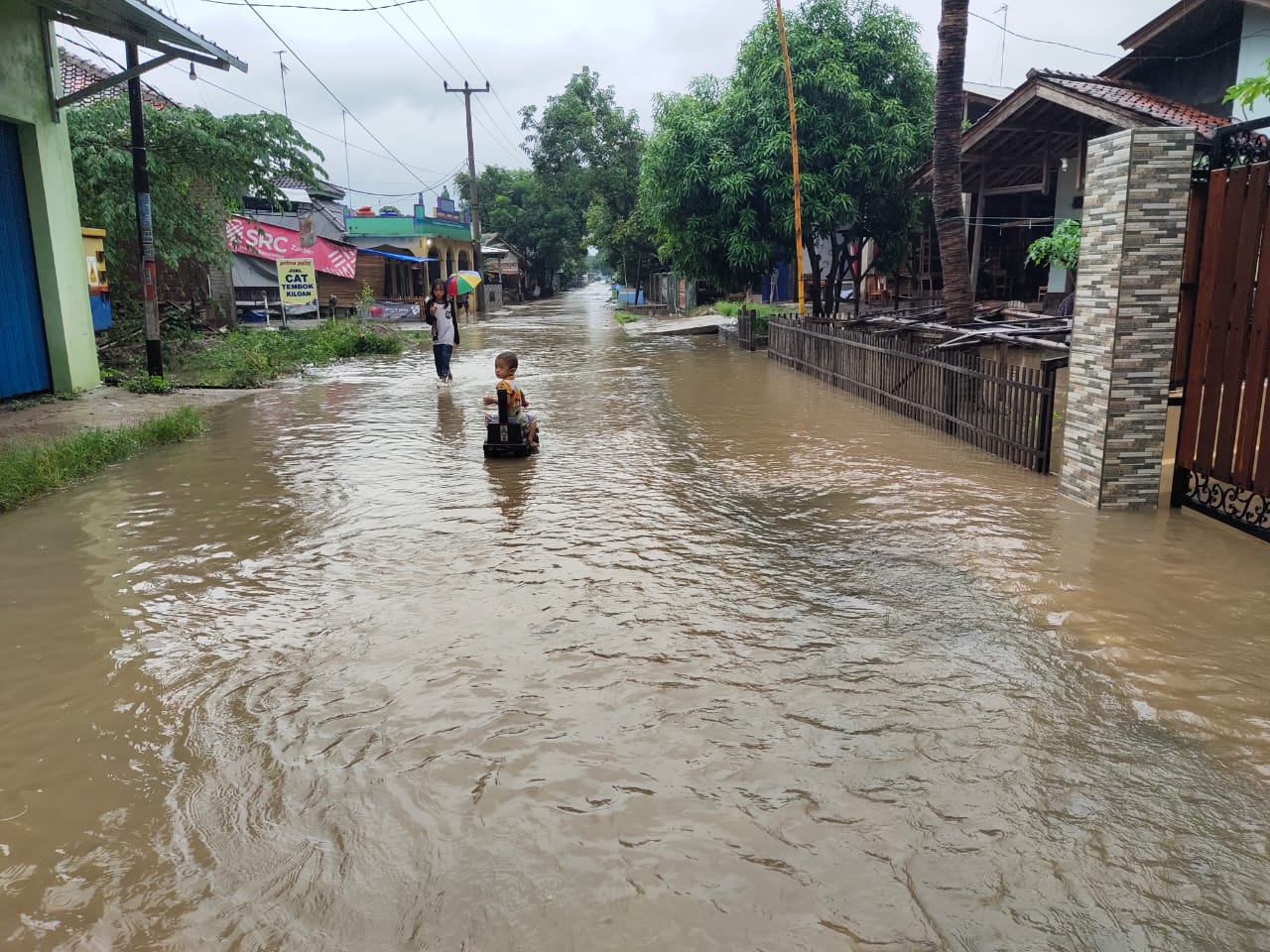 Nyawa Pria Ini Selamat karena Pohon Mangga saat Terseret Arus Banjir Indramayu